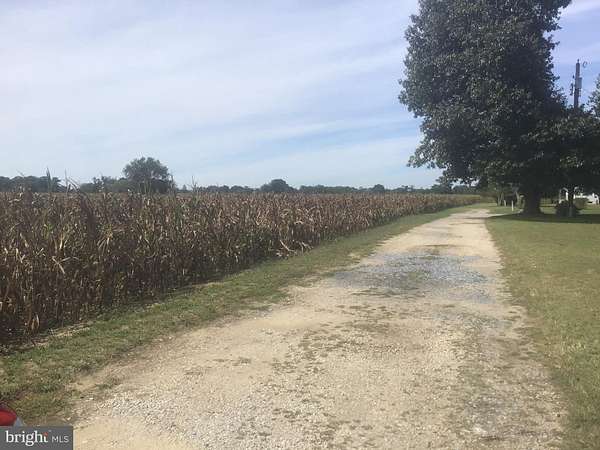 4 Acres of Land for Sale in Pittsgrove Township, New Jersey