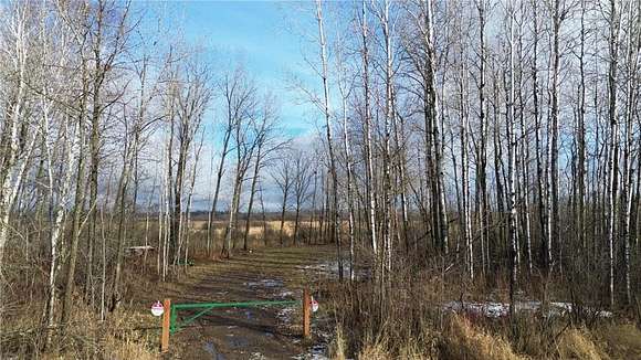 20 Acres of Recreational Land for Sale in Aitkin, Minnesota