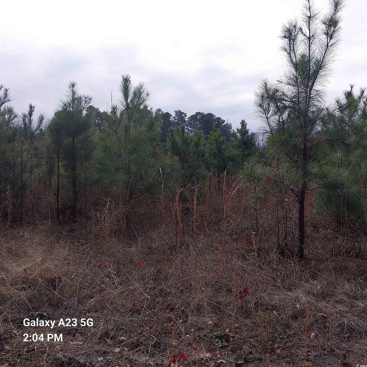 1.5 Acres of Residential Land for Sale in Mullins, South Carolina