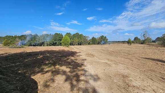 19.066 Acres of Land for Sale in Midland City, Alabama