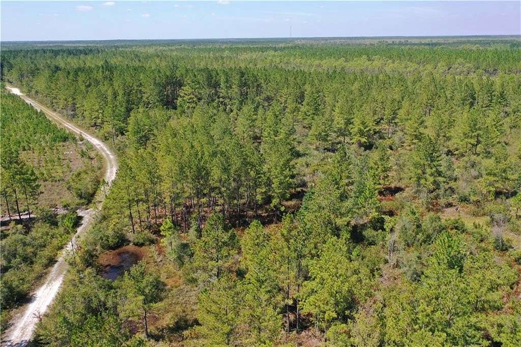 80 Acres of Recreational Land & Farm for Sale in Waycross, Georgia