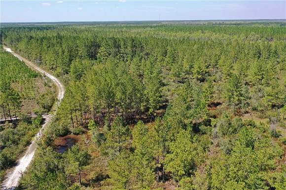 80 Acres of Recreational Land & Farm for Sale in Waycross, Georgia