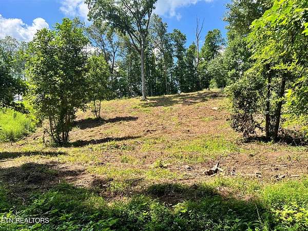 0.75 Acres of Residential Land for Sale in Decatur, Tennessee