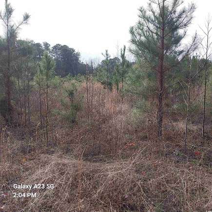 1.5 Acres of Residential Land for Sale in Mullins, South Carolina