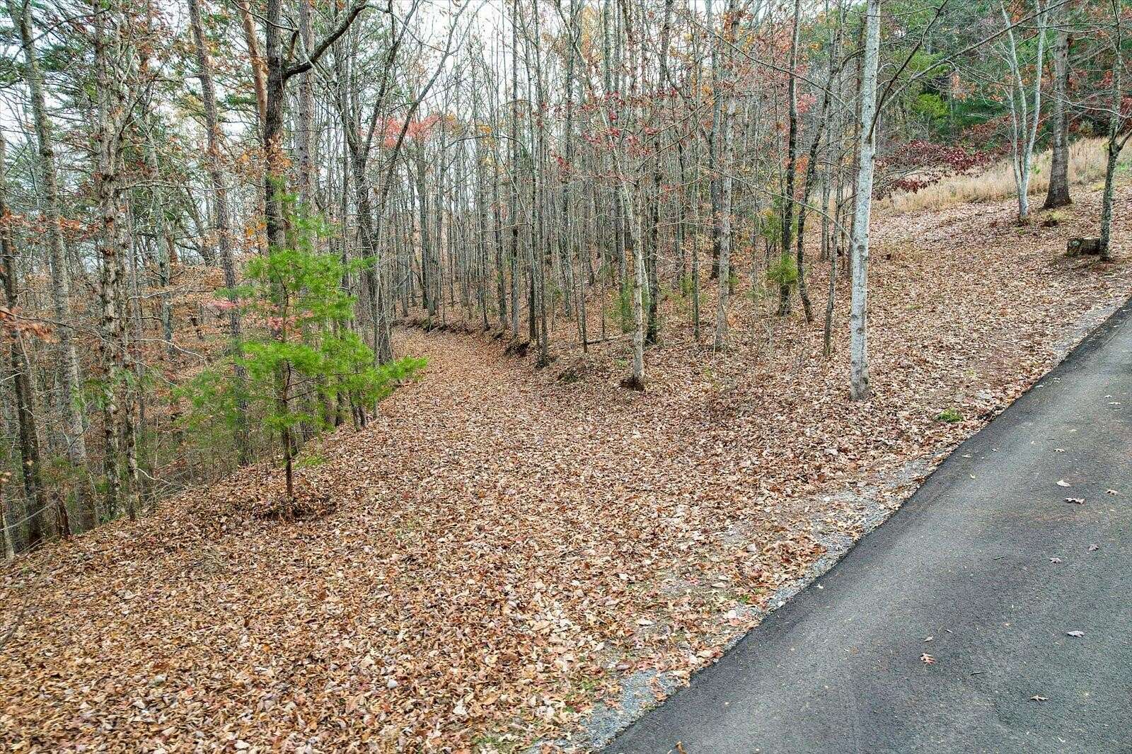 25 Acres of Land for Sale in Riceville, Tennessee