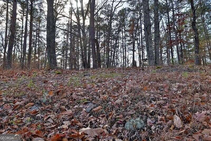 5 Acres of Residential Land for Sale in Waleska, Georgia