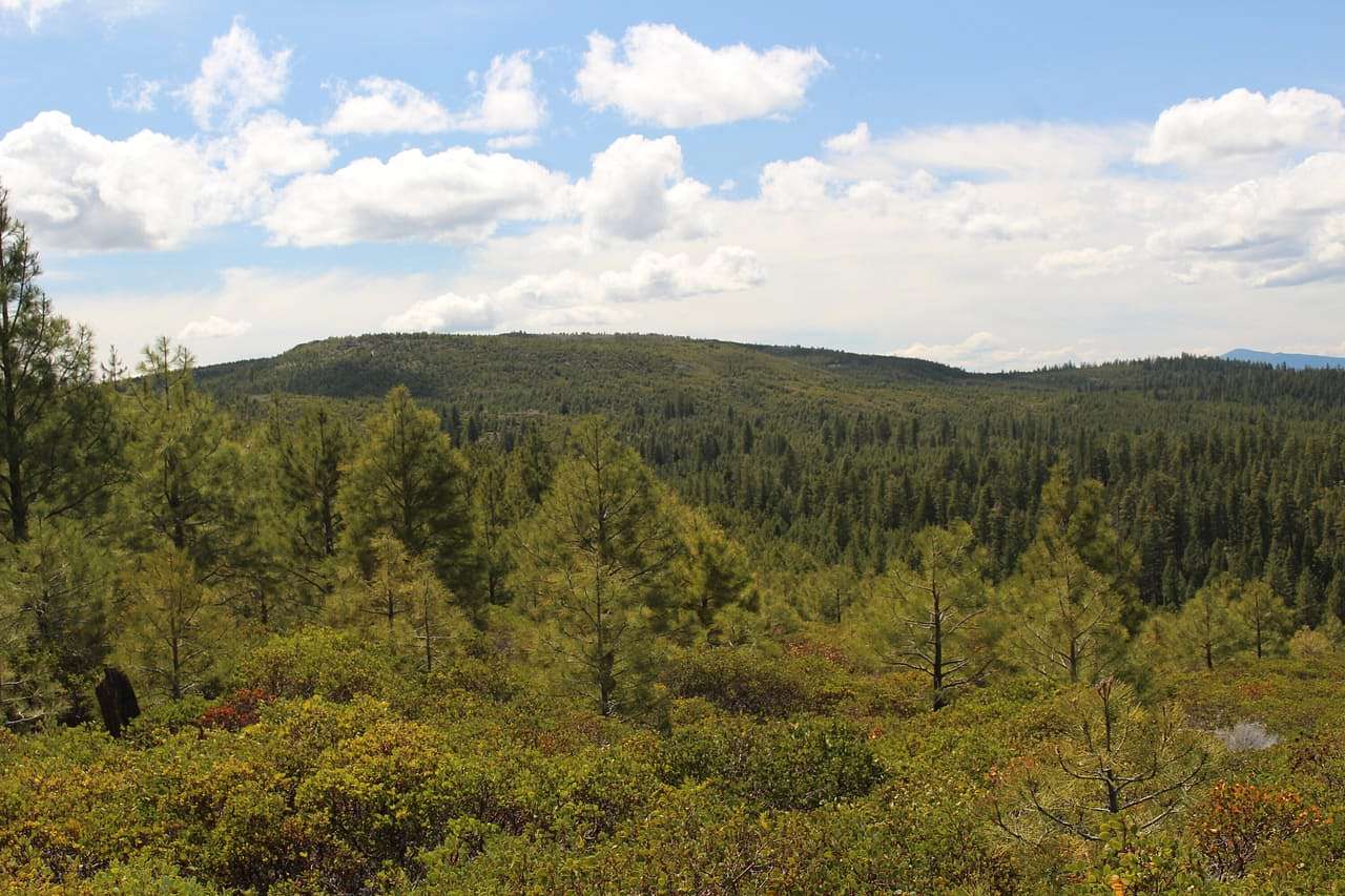 158 Acres of Land for Sale in Bly, Oregon