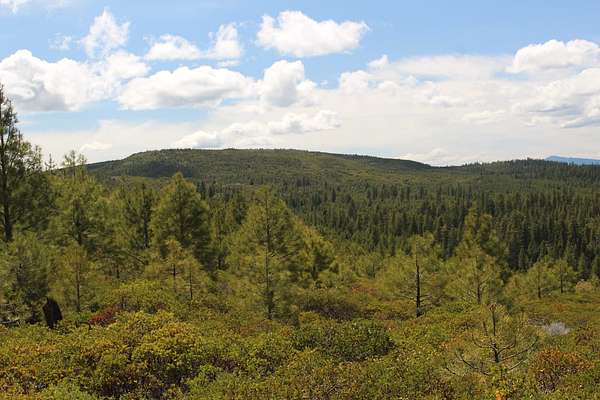 158 Acres of Land for Sale in Bly, Oregon