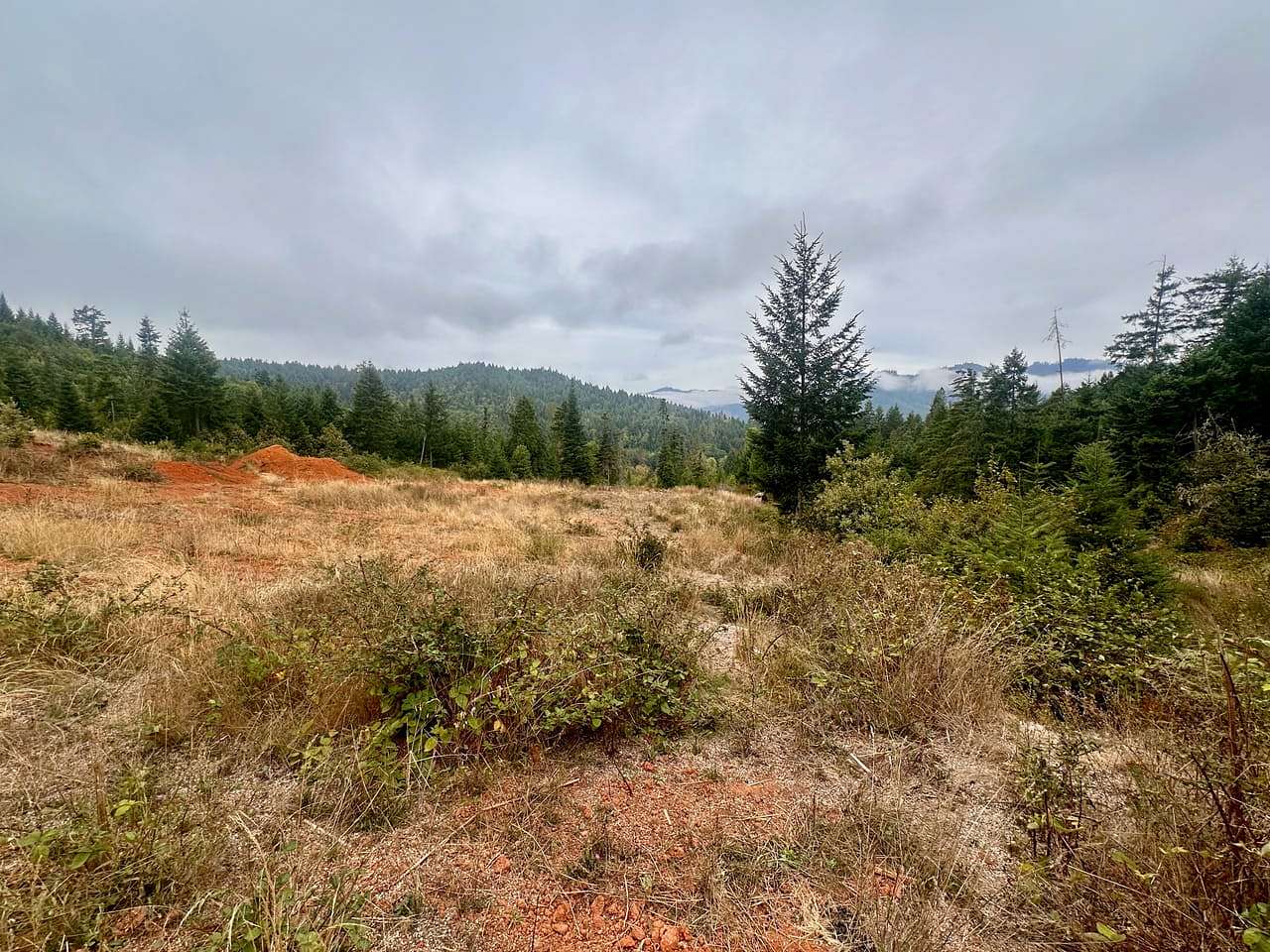 40 Acres of Recreational Land for Sale in Glendale, Oregon