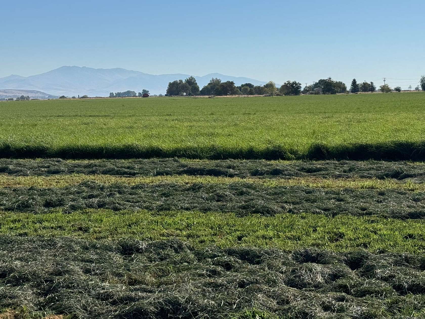 100 Acres of Agricultural Land for Sale in Litchfield, California