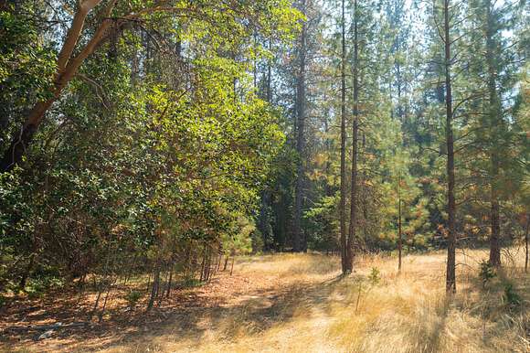 12.32 Acres of Land for Sale in Rogue River, Oregon