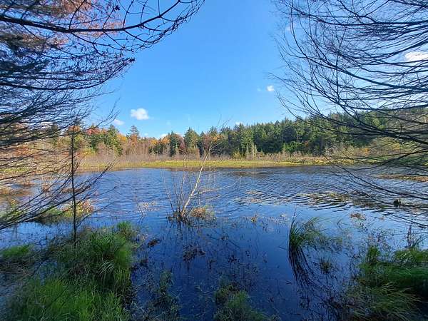 166 Acres of Recreational Land for Sale in Chestertown, New York