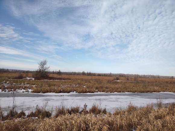 80 Acres of Recreational Land for Sale in Chassell, Michigan