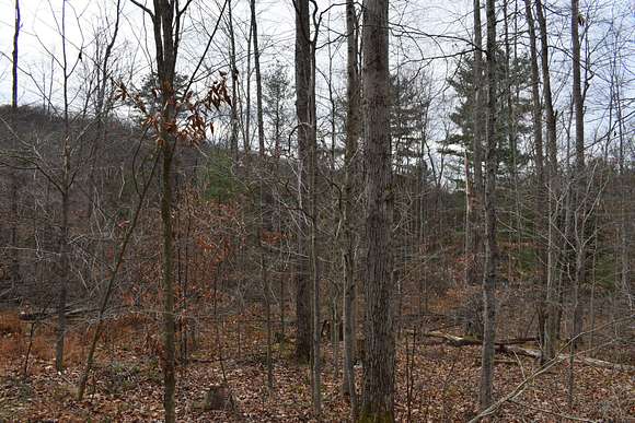 43.56 Acres of Recreational Land for Sale in Olean, New York