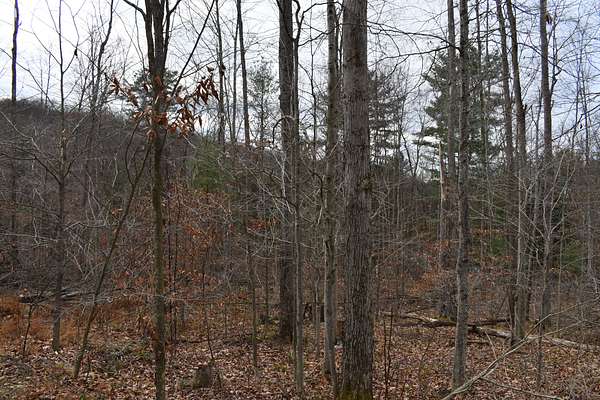 44 Acres of Recreational Land for Sale in Olean, New York