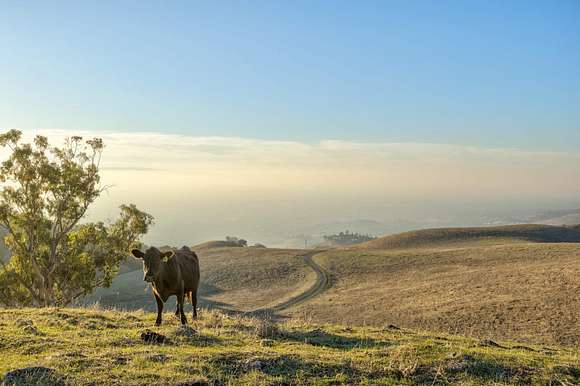 154 Acres of Agricultural Land for Sale in San Jose, California