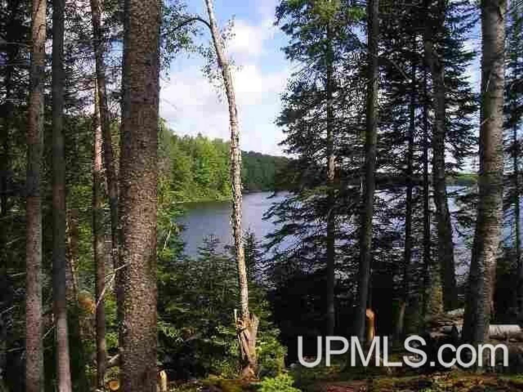 93.9 Acres of Recreational Land with Home for Sale in Michigamme, Michigan