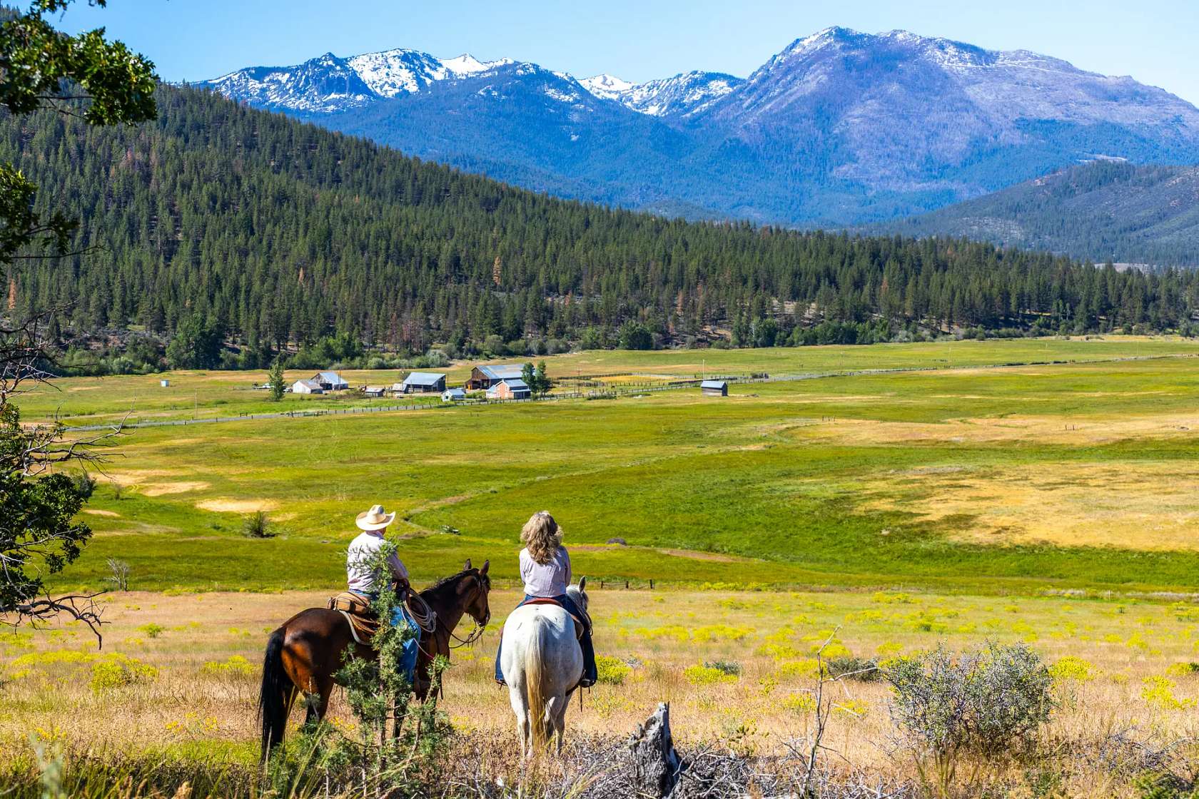 14,000 Acres of Recreational Land & Farm for Sale in Gazelle, California