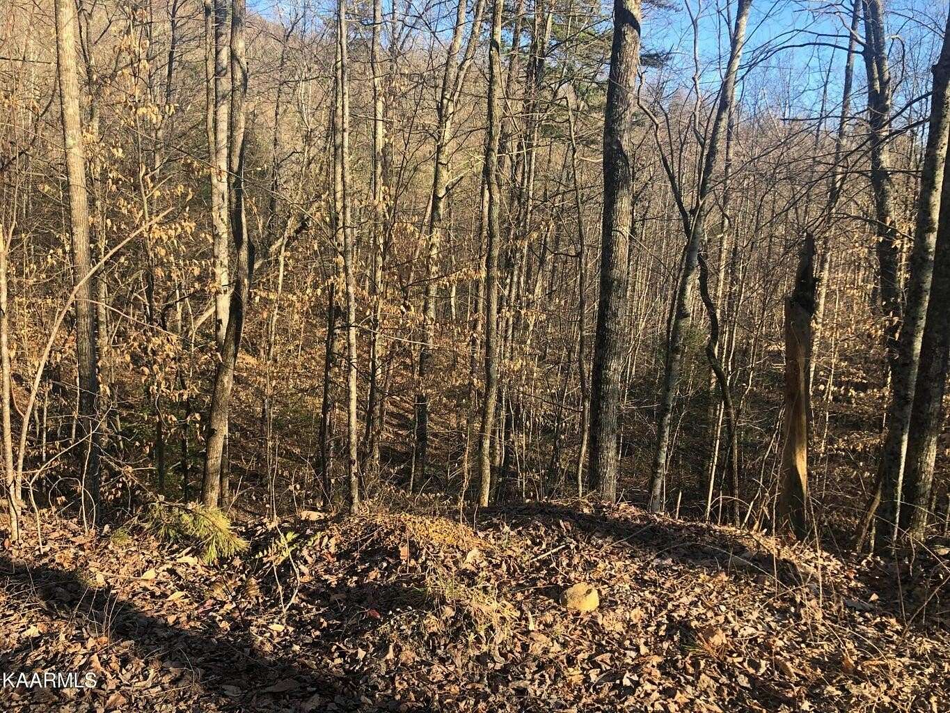 0.34 Acres of Residential Land for Sale in Sevierville, Tennessee