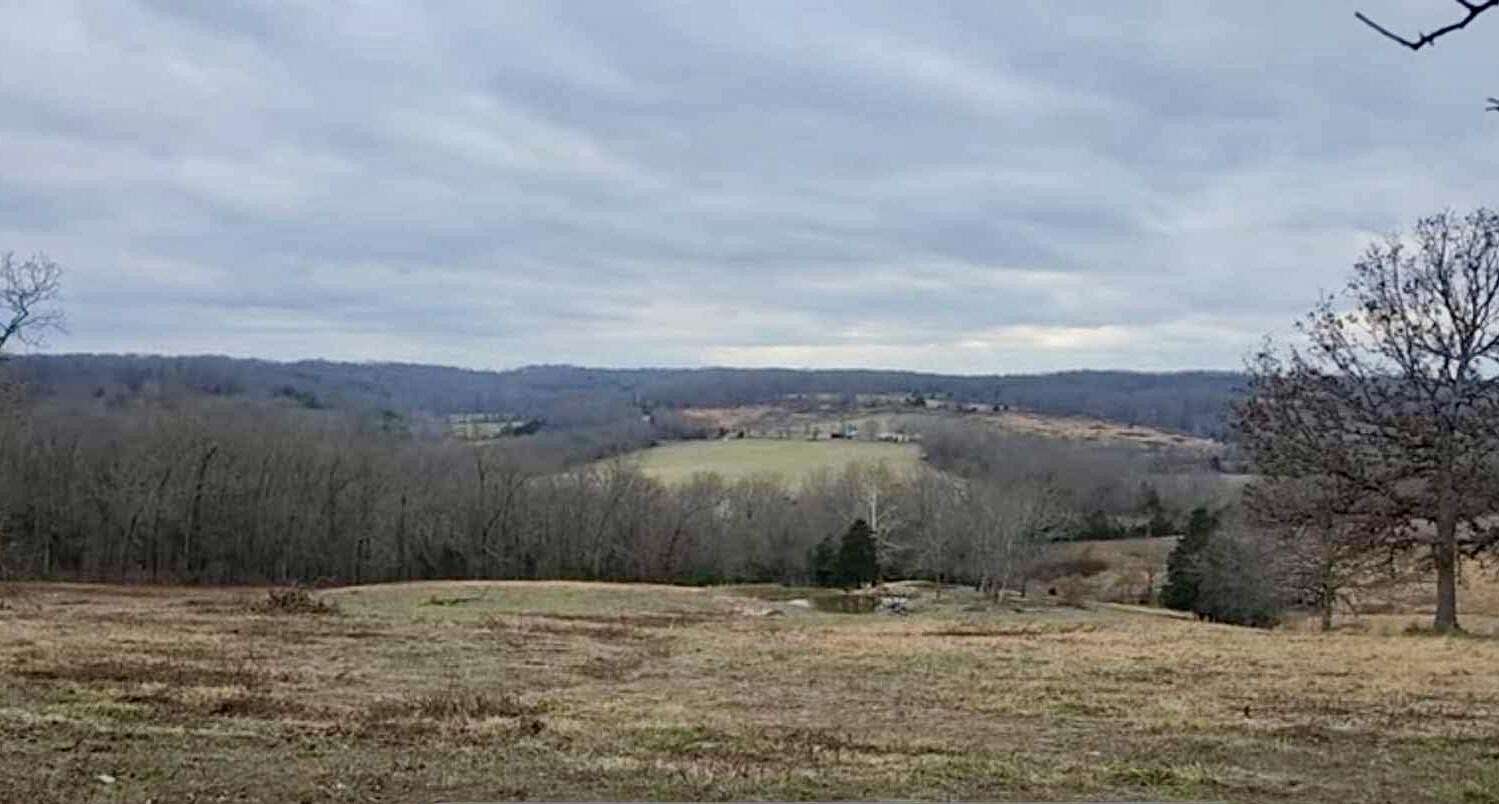 71 Acres of Recreational Land for Sale in Hartville, Missouri