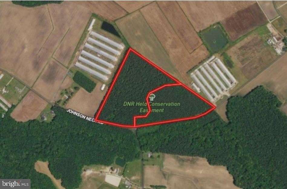 36.24 Acres of Recreational Land for Sale in Pocomoke City, Maryland