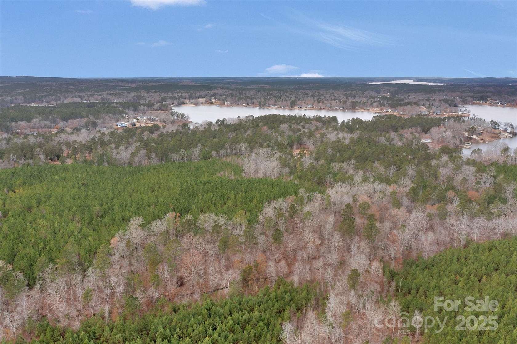 90 Acres of Recreational Land for Sale in Ridgeway, South Carolina