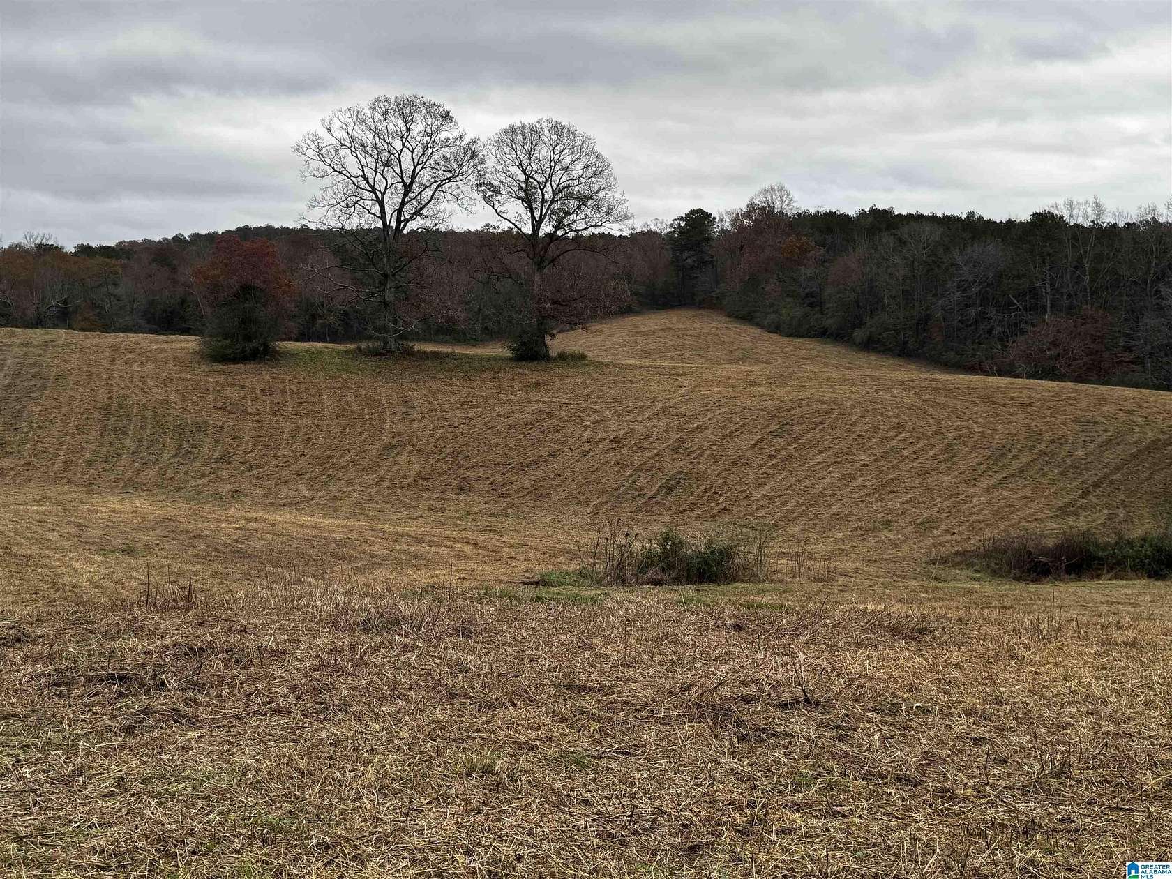 31 Acres of Agricultural Land for Sale in Blountsville, Alabama