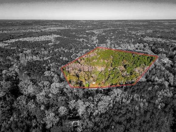 38.63 Acres of Recreational Land for Sale in Liberty, Mississippi