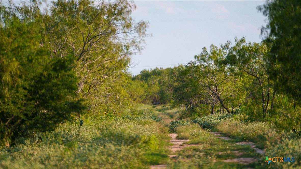 25 Acres of Recreational Land for Sale in Pleasanton, Texas