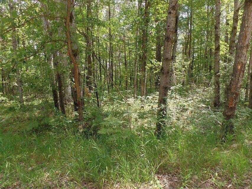 0.58 Acres of Residential Land for Sale in Roscommon, Michigan