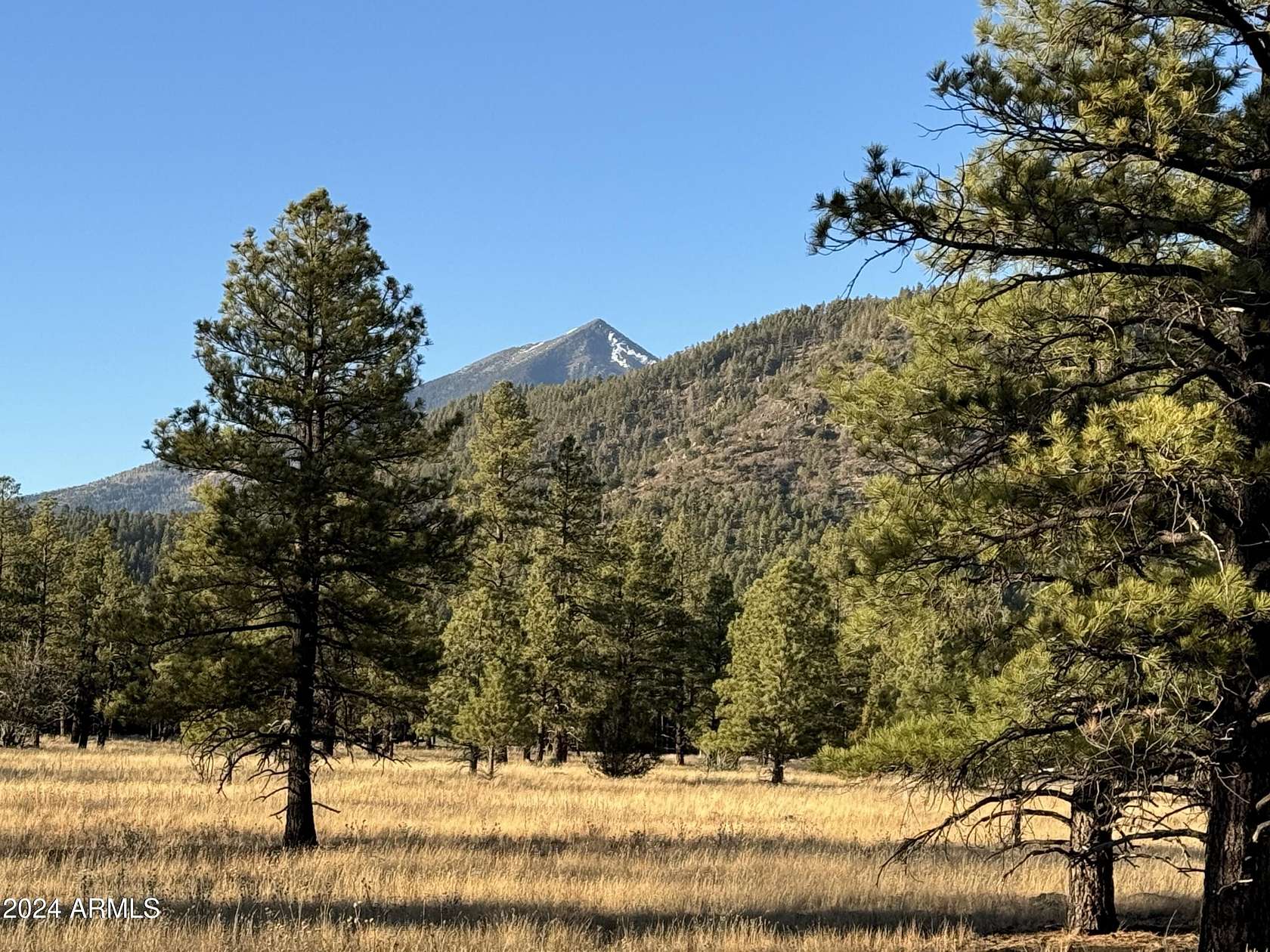 2.23 Acres of Residential Land for Sale in Flagstaff, Arizona