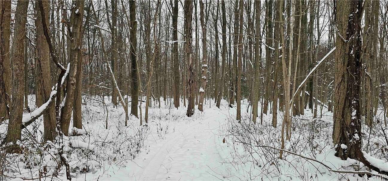 4.4 Acres of Land for Sale in Wolcott, New York