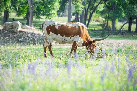 10.09 Acres of Land for Sale in Fredericksburg, Texas