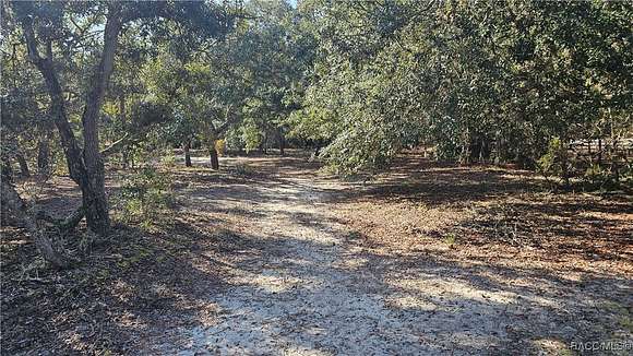 4.18 Acres of Residential Land for Sale in Inverness, Florida