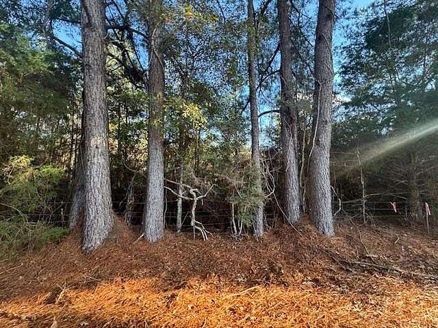 5 Acres of Residential Land for Sale in Tylertown, Mississippi