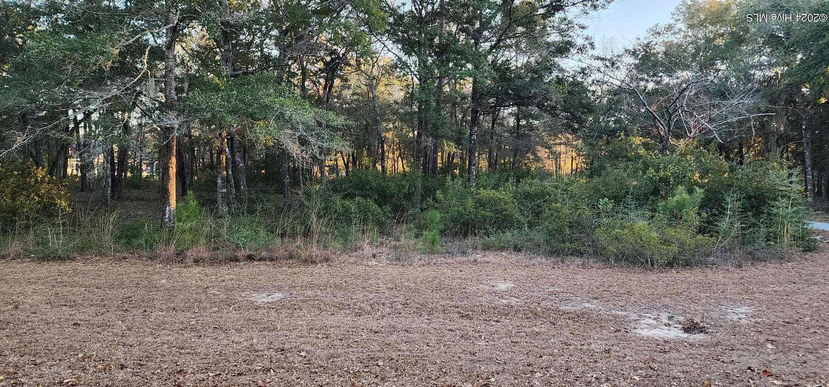 0.57 Acres of Residential Land for Sale in Supply, North Carolina