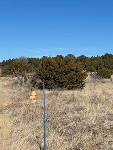 5 Acres of Land for Sale in Sandia Park, New Mexico