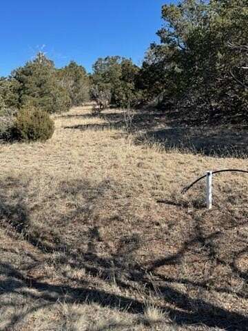 4.66 Acres of Land for Sale in Sandia Park, New Mexico