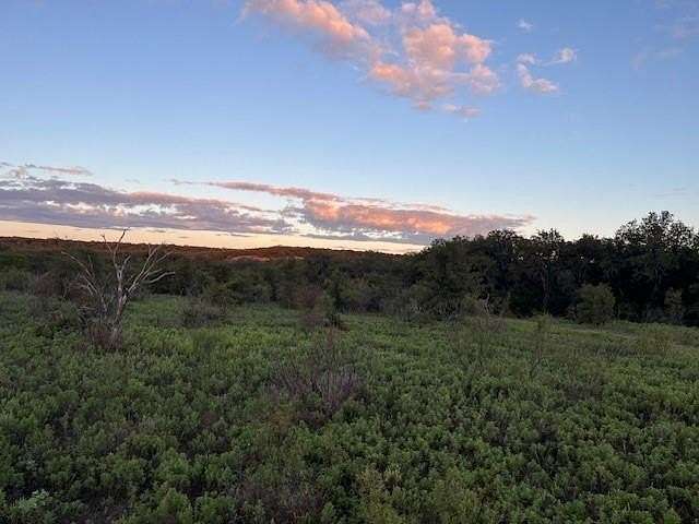 73 Acres of Recreational Land for Sale in Loving, Texas