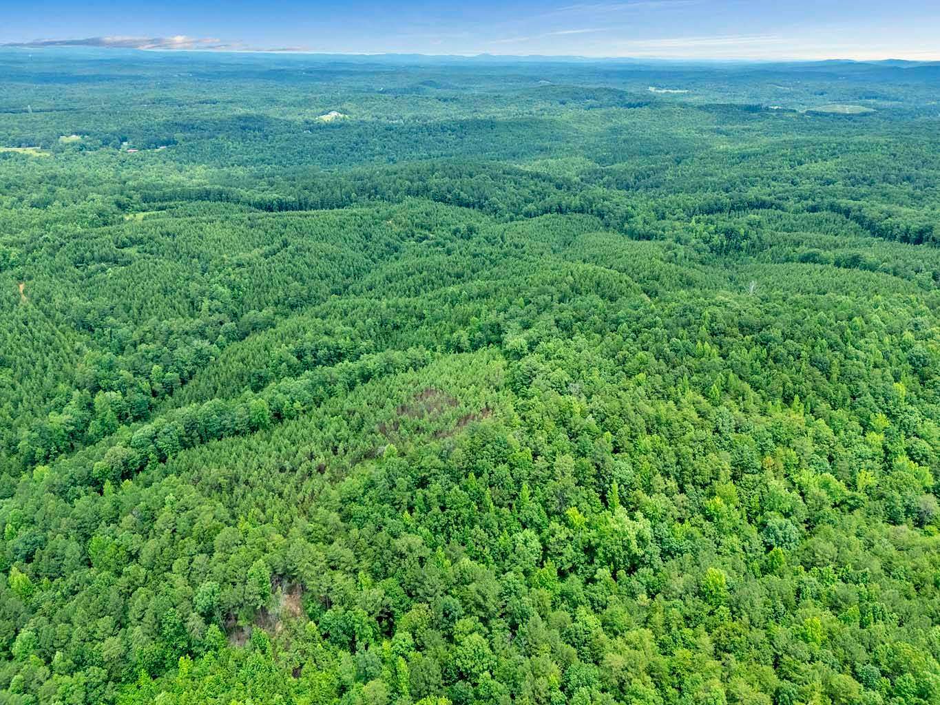 20 Acres of Land for Sale in Birmingham, Alabama