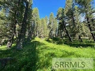 1.74 Acres of Land for Sale in Island Park, Idaho