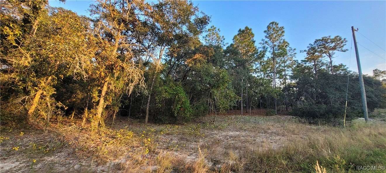 0.26 Acres of Residential Land for Sale in Citrus Springs, Florida