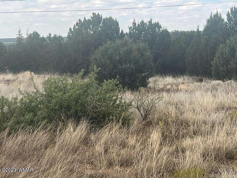 0.23 Acres of Residential Land for Sale in Show Low, Arizona