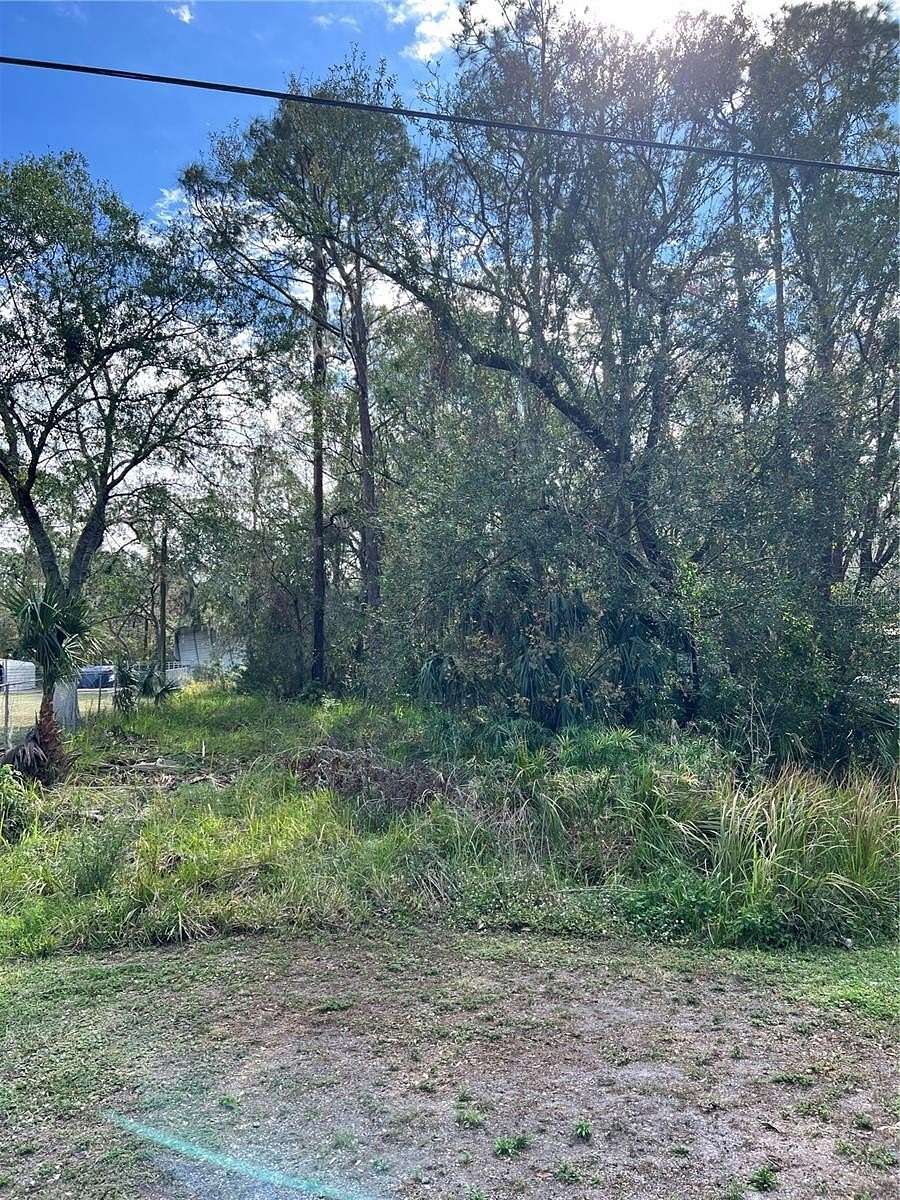 0.29 Acres of Residential Land for Sale in Wimauma, Florida