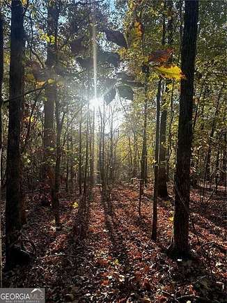 16.82 Acres of Recreational Land for Sale in Ranger, Georgia