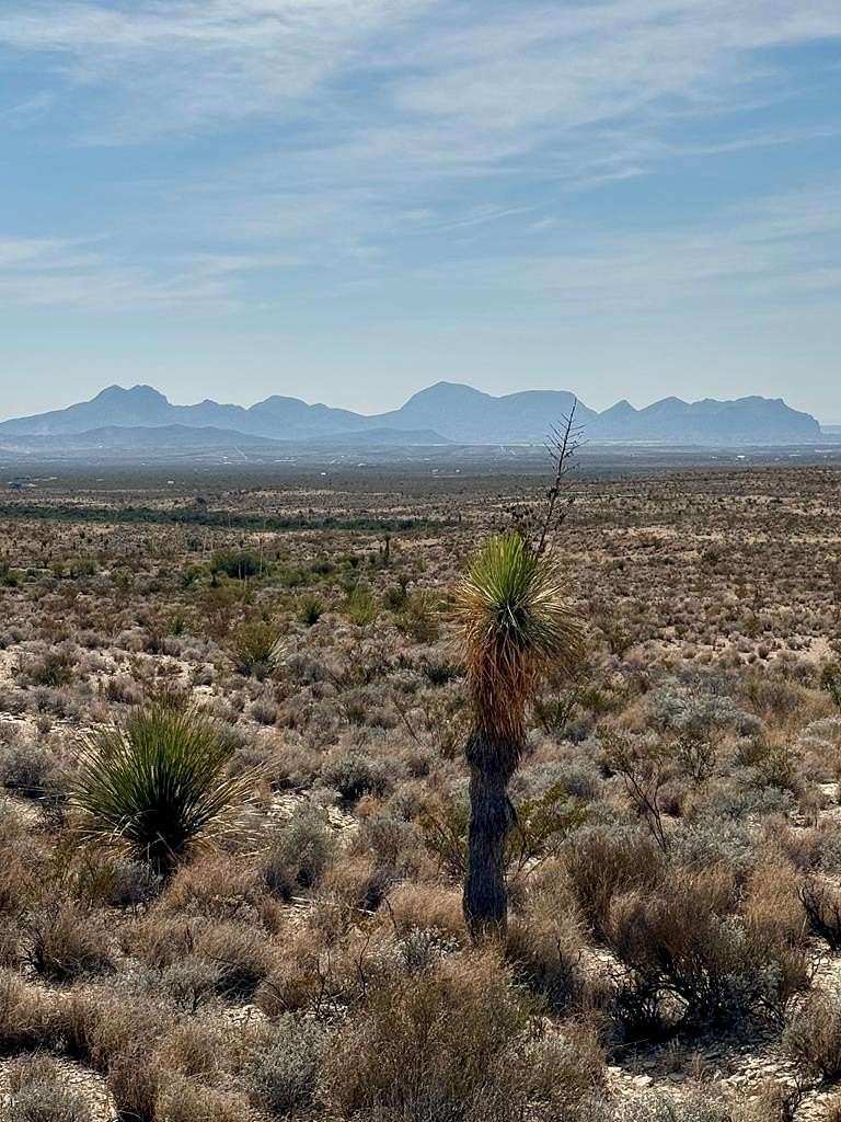 40 Acres of Recreational Land for Sale in Terlingua, Texas