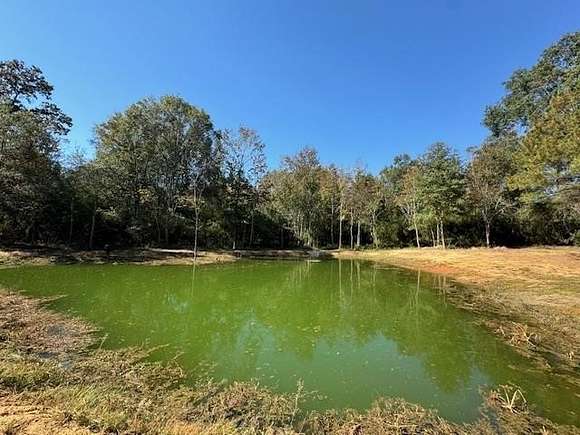 13.15 Acres of Recreational Land with Home for Sale in Tylertown, Mississippi