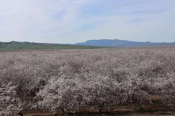 160 Acres of Agricultural Land for Sale in Firebaugh, California