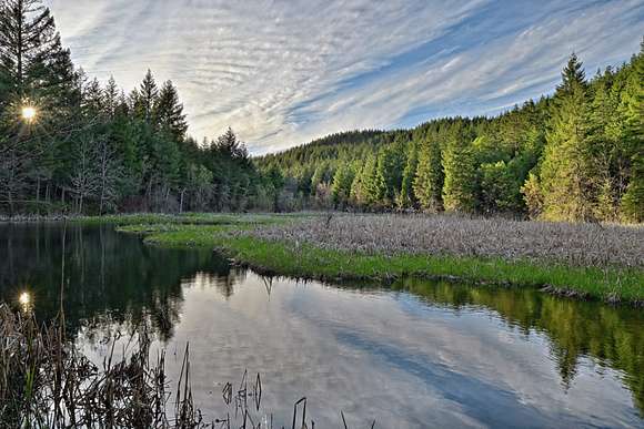 95.46 Acres of Land for Sale in Prospect, Oregon