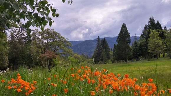 95.5 Acres of Land with Home for Sale in Prospect, Oregon